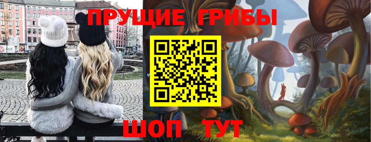 как найти закладки  Псилоцибиновые грибы Cubensis  Вход с VPN  Ижевск 